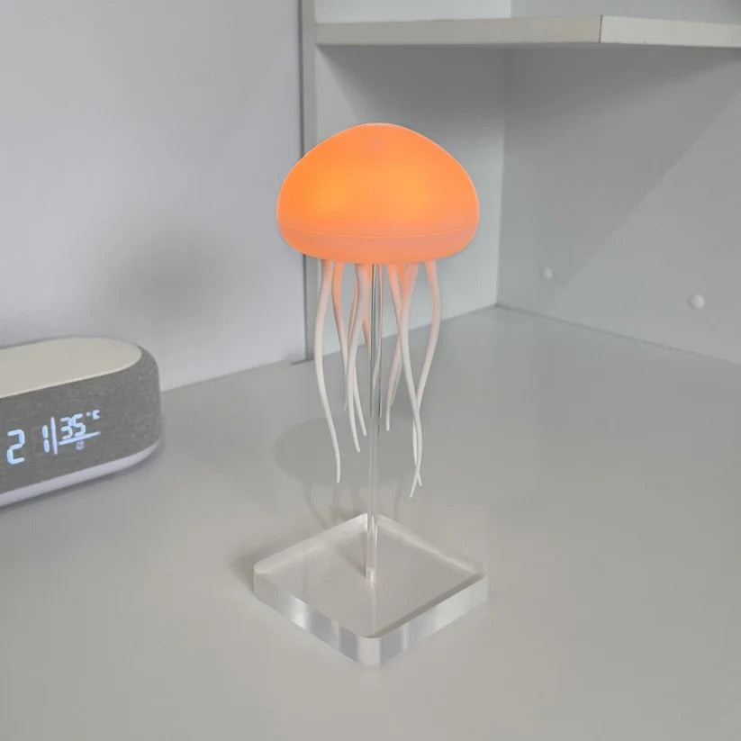 Jellyfish Lamp